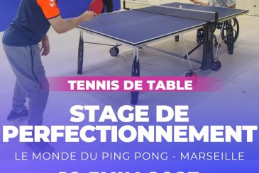 Stage de perfectionnement tennis de table